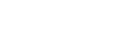 Borusan logo