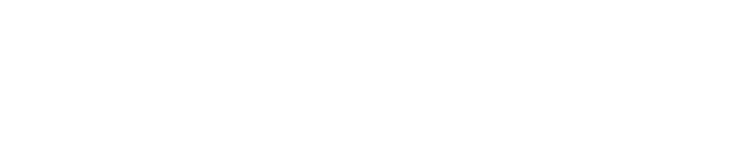 Borusan logo