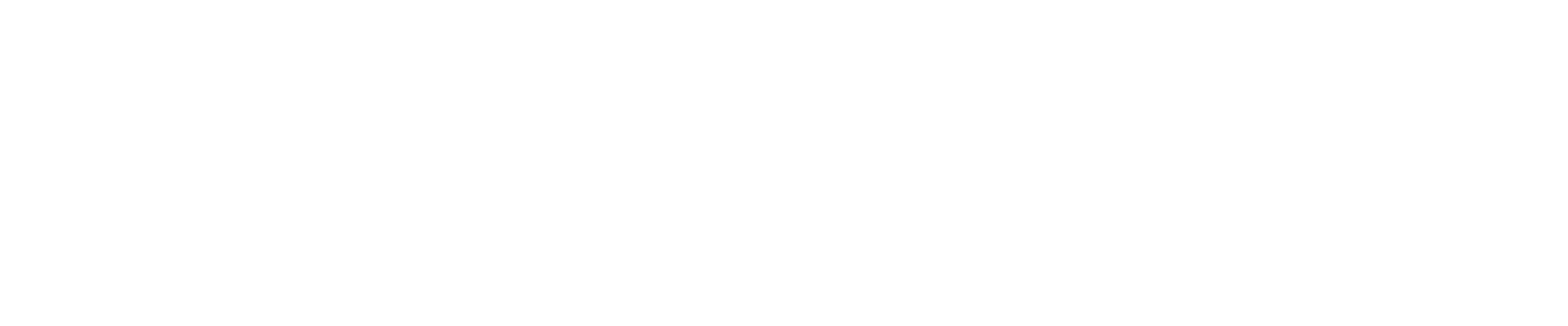 Bitexen logo