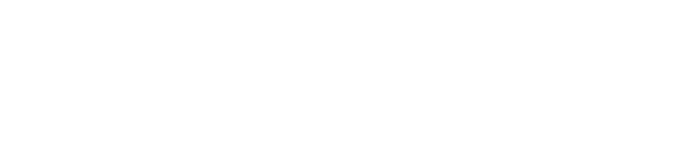 PepsiCo logo